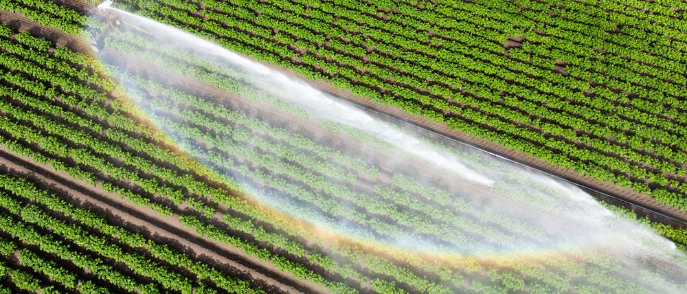Wasser kann Luxus sein - wenn es knapp ist und für die Landwirtschaft gebraucht wird. (Illustration)