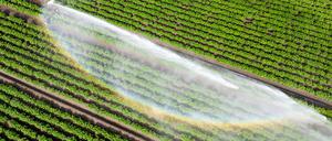 Wasser kann Luxus sein - wenn es knapp ist und für die Landwirtschaft gebraucht wird. (Illustration)