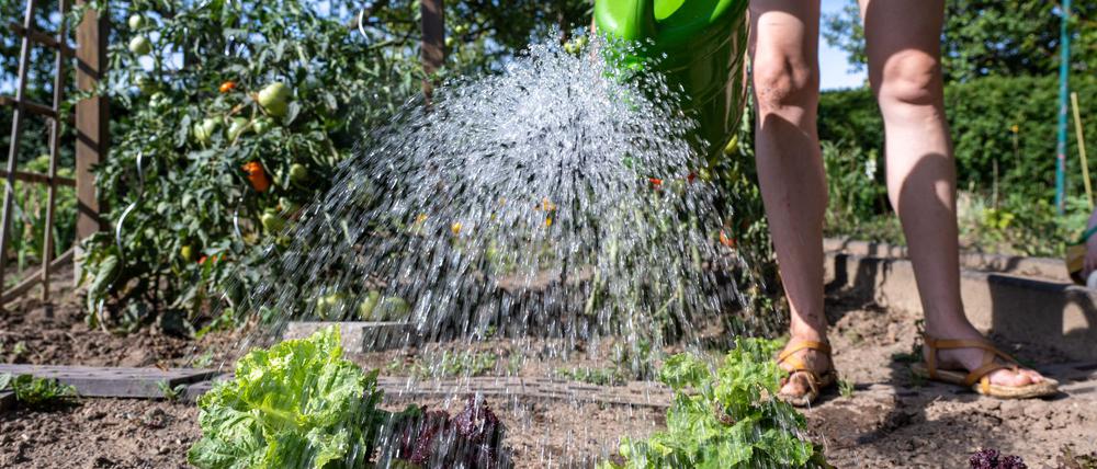 Einige Landkreise schränken bereits die Wasserentnahme aus Seen und Flüssen ein. (Symbolbild)