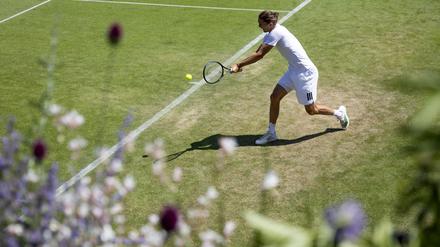 Training für den Wimbledon-Start: Alexander Zverev.