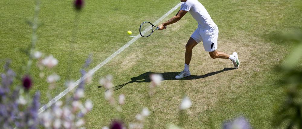 Training für den Wimbledon-Start: Alexander Zverev.