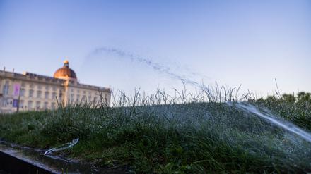 In den nächsten Tagen sollen die Temperaturen in der Hauptstadtregion bis auf 39 Grad klettern.