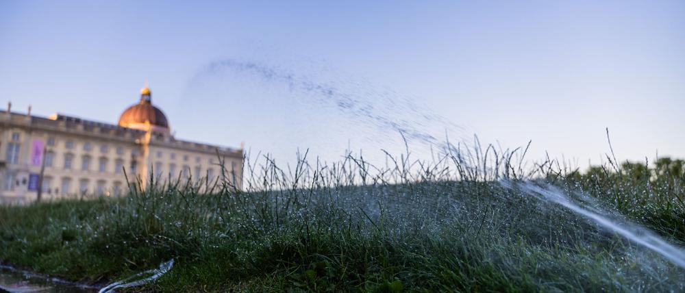 In den nächsten Tagen sollen die Temperaturen in der Hauptstadtregion bis auf 39 Grad klettern.