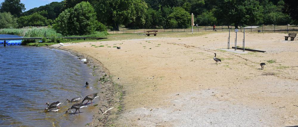 Das Stadtbad Park Babelsberg öffnet am 5. Juli.