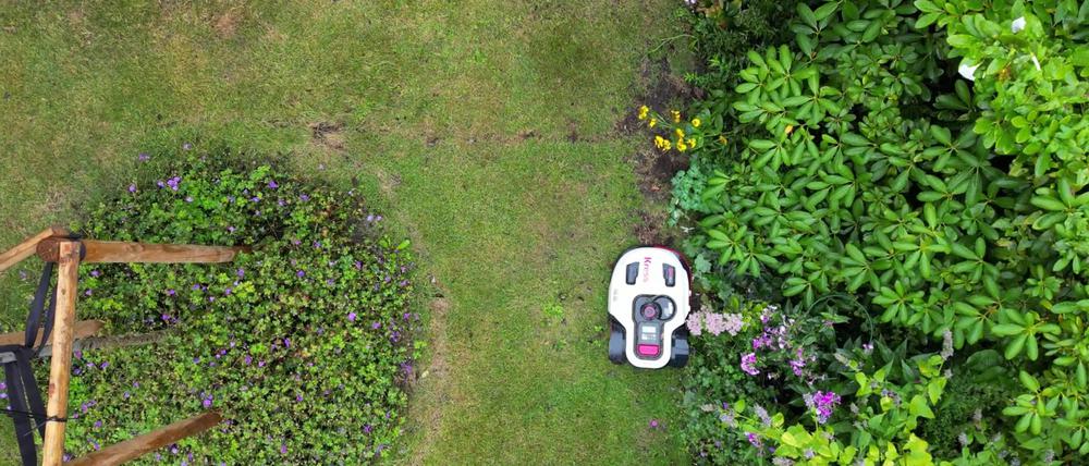 Naturschützer warnen davor, dass Mähroboter eine Gefahr sein können - vor allem für nachtaktive Tiere. (Symbolbild)