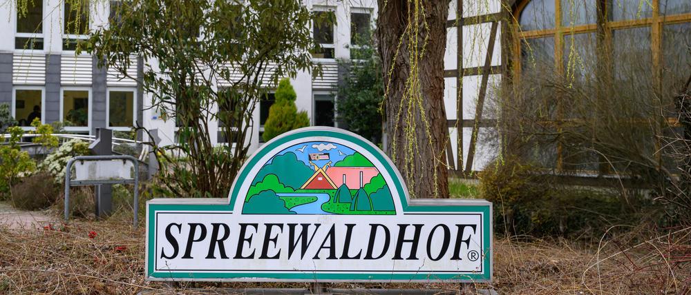 Das Unternehmen Spreewaldkonserve Golßen GmbH richtet nach Millionen-Verlusten das Geschäft mit Gurken neu aus. Ab Ende Oktober gibt es Entlassungen. (Archivfoto)