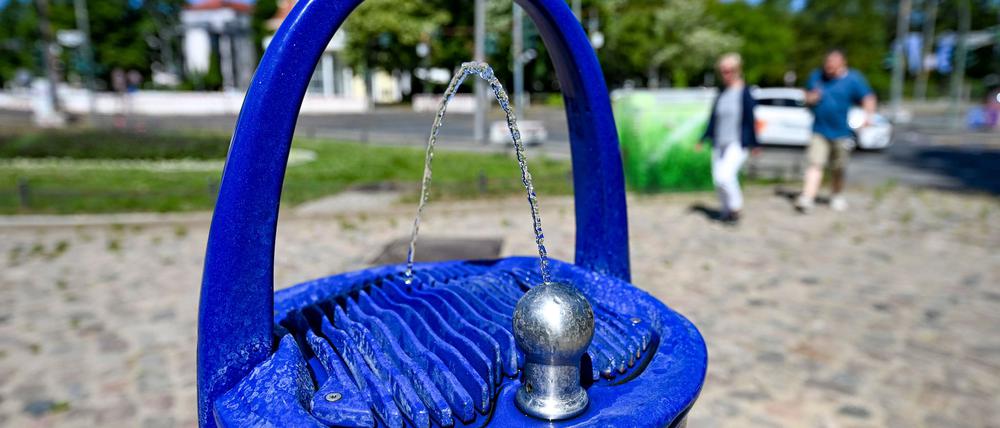 Die Trinkbrunnen werden in Berlin von Mensch und Tier genutzt.