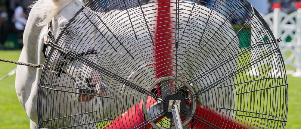 Für die Kühlung der Pferde gibt es beim CHIO Ventilatoren.