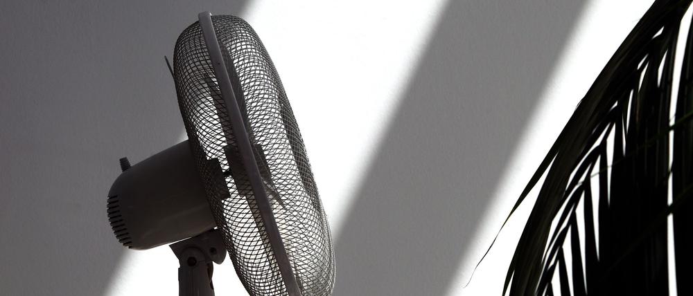 Ein Ventilator verschafft zumindest ein bisschen frische Luft bei Hitze.
