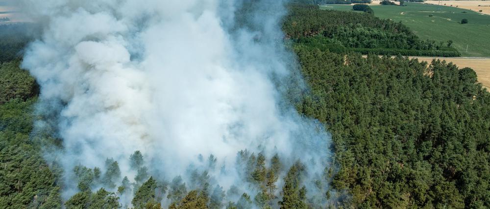 Die Zahl der Waldbrände in Brandenburg ist schon jetzt größer als 2024.