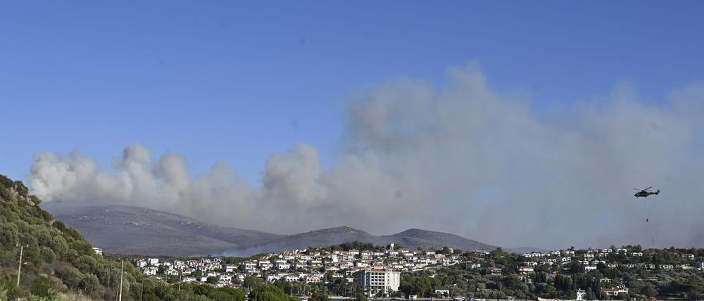 Das auf einem Acker ausgebrochene Feuer soll sich durch starken Wind auf umliegende Büsche und Wälder ausgebreitet haben.