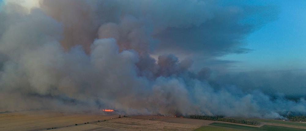 Schon früher gab es hier große Brände: die Gohrischheide zwischen Sachsen und Brandenburg.