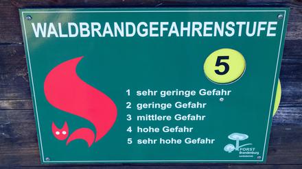 In Brandenburg ist die Waldbrandgefahr über Nacht gesunken. (Archivbild)