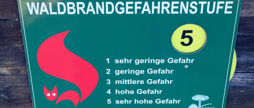 In Brandenburg ist die Waldbrandgefahr über Nacht gesunken. (Archivbild)