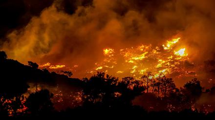  Wegen starker Winde breiteten sich die Flammen rasch aus.