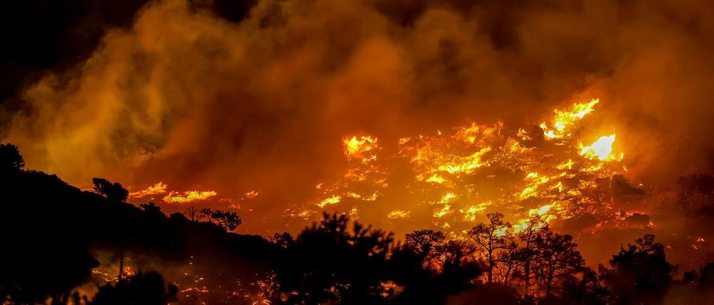 Wegen starker Winde breiteten sich die Flammen rasch aus.