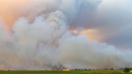 Das Feuer in der Gohrischheide ist weiterhin nicht unter Kontrolle. Aktuell breitet sich der Brand nach Norden aus, teilte das Landratsamt Meißen am Donnerstagmorgen mit.