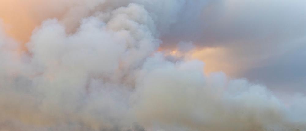 Das Feuer in der Gohrischheide ist weiterhin nicht unter Kontrolle. Aktuell breitet sich der Brand nach Norden aus, teilte das Landratsamt Meißen am Donnerstagmorgen mit.