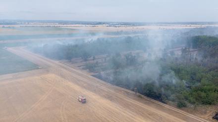 Mehr als 500 Einsatzkräfte sind wegen des Waldbrands im Einsatz. 