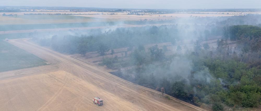 Mehr als 500 Einsatzkräfte sind wegen des Waldbrands im Einsatz. 