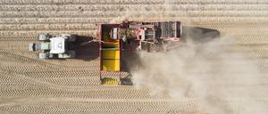 Ein Landwirt erntet Kartoffeln auf einem staubtrockenen Feld in der Region Hannover (Luftaufnahme mit Drohne). Die anhaltende Trockenheit erschwert die Erntearbeiten. +++ dpa-Bildfunk +++