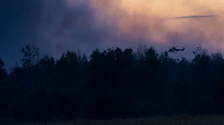 Wie groß das vom Waldbrand betroffene Gebiet in der Gohrischheide derzeit ist, ist laut dem Landkreis schwierig einzuschätzen. (Fotoarchiv)