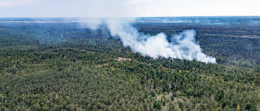 Rauch steigt bei einem Wald- und Vegetationsbrand in der Gohrischheide im Landkreis Meißen in der Nähe von dem sächsischen Ort Jacobsthal in den Himmel.