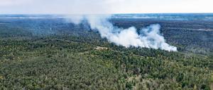 Rauch steigt bei einem Wald- und Vegetationsbrand in der Gohrischheide im Landkreis Meißen in der Nähe von dem sächsischen Ort Jacobsthal in den Himmel.