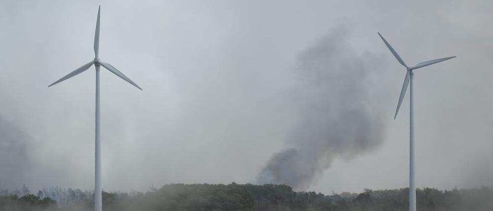 Rund 560 Kräfte waren am Sonntag in der Gohrischheide im Einsatz. (Archivbild)