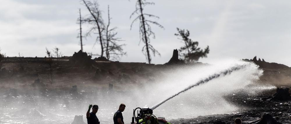 Feuerwehrleute bekämpfen versteckte Glutnester beim Waldbrand auf der Saalfelder Höhe.