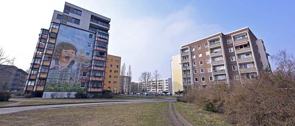 Wieselkiez im Potsdamer Stadtteil Schlaatz