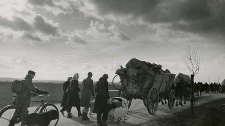 Aufbruch in Lübchen. Etwa 350 Menschen flüchteten im Januar 1945 aus dem Dorf an der Oder vor der Roten Armee.