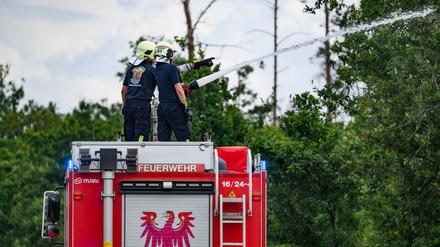 Feuerwehrleute sind im Waldbrand in der Gohrischheide im Einsatz.