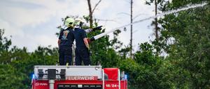 Feuerwehrleute sind im Waldbrand in der Gohrischheide im Einsatz.