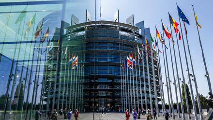 Die Flaggen der Europäischen Union und ihrer Mitgliedsstaaten wehen vor dem Europäischen Parlament.