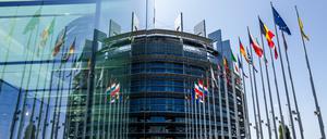 Die Flaggen der Europäischen Union und ihrer Mitgliedsstaaten wehen vor dem Europäischen Parlament.