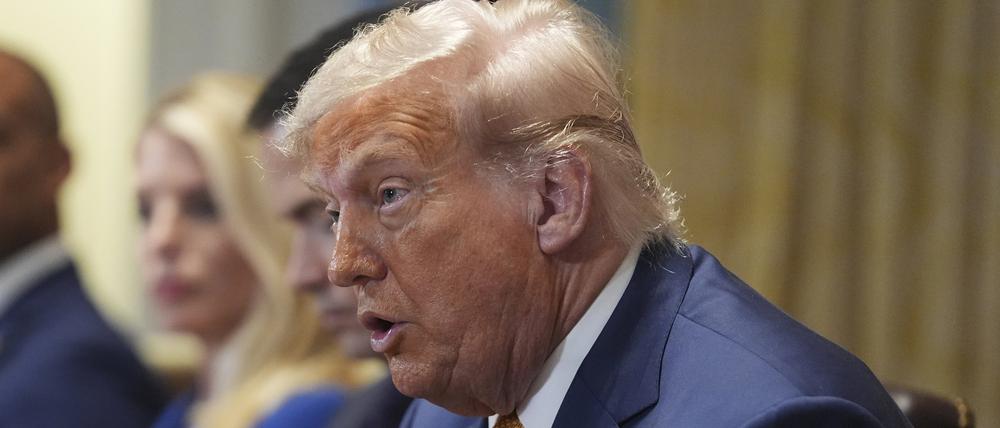 US-Präsident Donald Trump spricht während einer Kabinettssitzung im Weißen Haus.