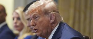 US-Präsident Donald Trump spricht während einer Kabinettssitzung im Weißen Haus.