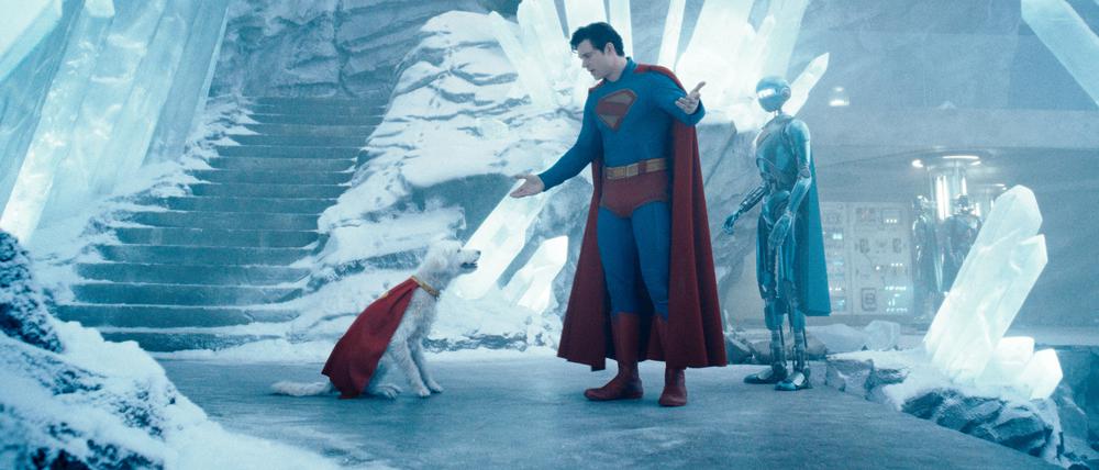 Mit Haustier in der Festung der Einsamkeit: Superman (David Corenswet) und sein Therapiehund Krypto.