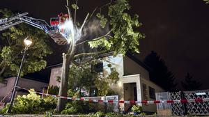 Einsatzkräfte der Feuerwehr arbeiteten an einem Baum, der zum Teil auf ein Haus in Berlin Reinickendorf gestürzt ist. Ein Sturm hat zu zahlreichen Schäden in der Hauptstadt geführt.