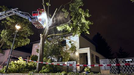 Einsatzkräfte der Feuerwehr arbeiteten an einem Baum, der zum Teil auf ein Haus in Berlin Reinickendorf gestürzt ist. Ein Sturm hat zu zahlreichen Schäden in der Hauptstadt geführt.