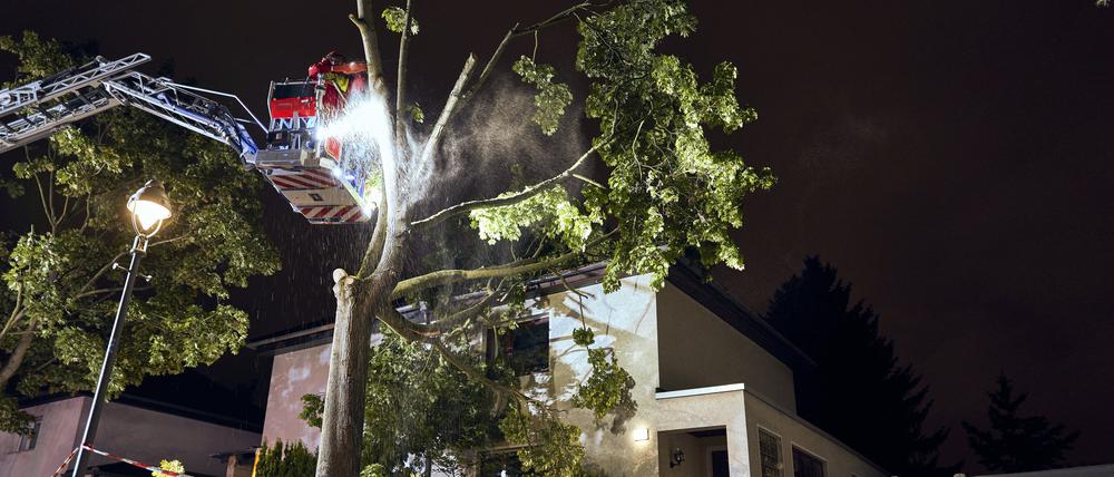 Einsatzkräfte der Feuerwehr arbeiteten an einem Baum, der zum Teil auf ein Haus in Berlin Reinickendorf gestürzt ist. Ein Sturm hat zu zahlreichen Schäden in der Hauptstadt geführt.