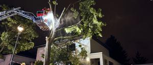 Einsatzkräfte der Feuerwehr arbeiteten an einem Baum, der zum Teil auf ein Haus in Berlin Reinickendorf gestürzt ist. Ein Sturm hat zu zahlreichen Schäden in der Hauptstadt geführt.