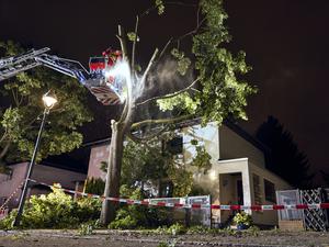Einsatzkräfte der Feuerwehr arbeiteten an einem Baum, der zum Teil auf ein Haus in Berlin Reinickendorf gestürzt ist. Ein Sturm hat zu zahlreichen Schäden in der Hauptstadt geführt.