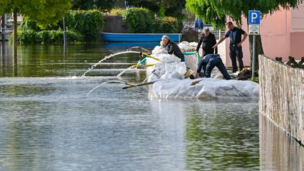 Brandenburg erlebte im vergangenen Jahr ein Hochwasser entlang der Oder. (Archivbild)
