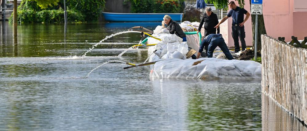 Brandenburg erlebte im vergangenen Jahr ein Hochwasser entlang der Oder. (Archivbild)