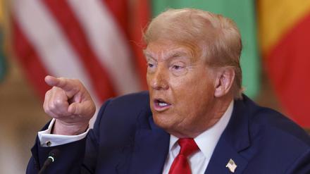 US-Präsident Donald Trump während eines Treffens mit afrikanischen Staatsoberhäuptern im Weißen Haus.