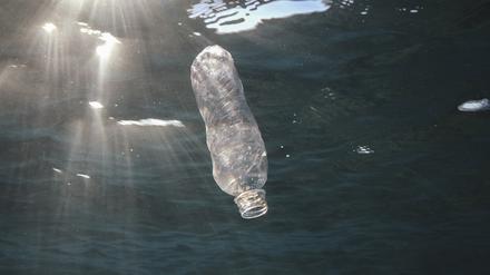 Eine weggeworfene Plastikflasche treibt im Roten Meer und wird von der Sonne angestrahlt.