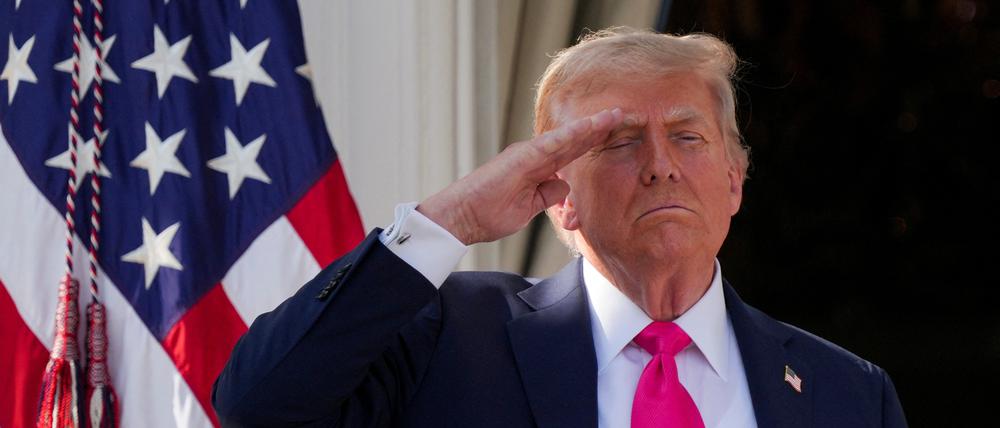 Donald Trump vor der US-Fahne.