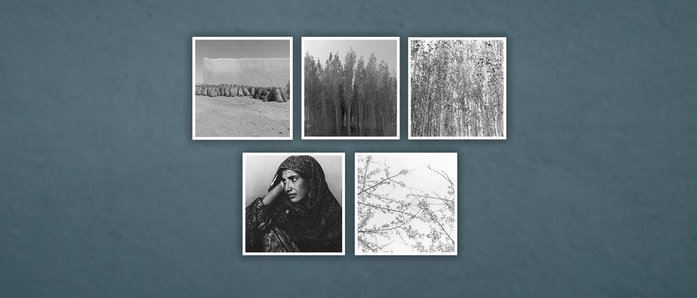 Bei einem Kellereinbruch in Berlin-Charlottenburg wurden mindestens fünf Schwarz-Weiß-Fotografien der Künstlerin Frauke Eigen entwendet.
